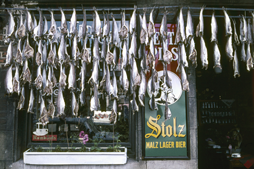 Dried fish in Antwerp, Belgium photographed by pop artist Trevor Heath