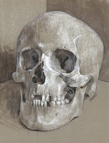 Portrait of a has-been, a drawing of a skull by Trevor Heath when an art student aged 18