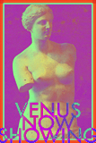 Venus now showing, an image created by pop artist Trevor Heath